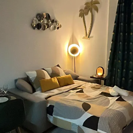 Appartement Centre Sur Avenue Jean Medecin à 8 Minutes De Marche