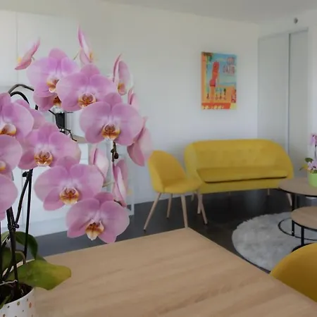 Appartement Echapée Belle - Vinayard View - Jacuzzi Bbq - Parking *