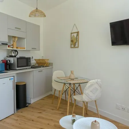 Palais Riviera Chaleureux Lumineux Et Climatise Appartement