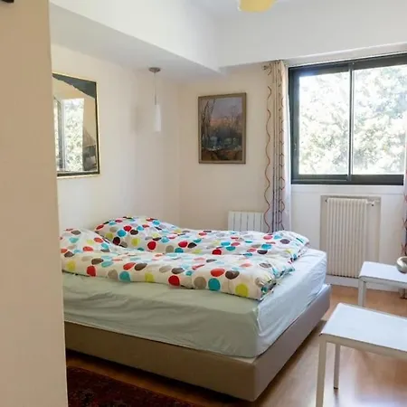 Apartment Georges V - Superb 100m2 With Ac Nice