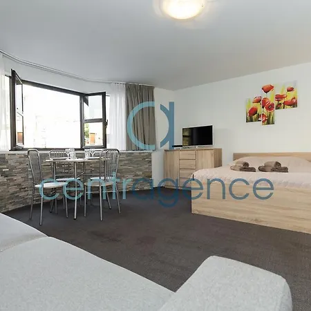 Fleurs - Studio Tout Equipe - Proche Mer