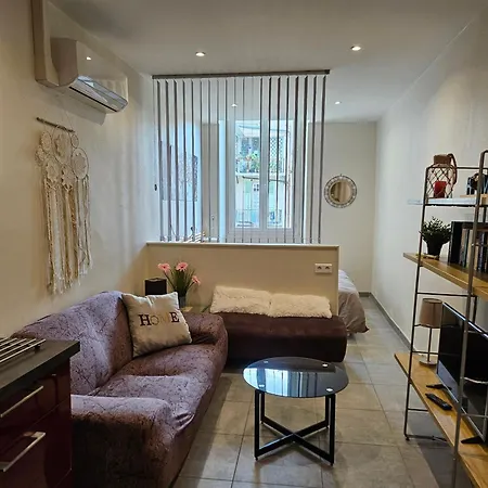 Vieux Masséna Appartement *
