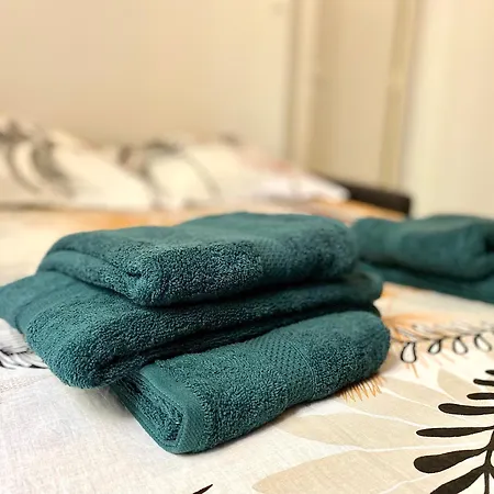 Appartement Avec Cinéma à 200m De La Nice