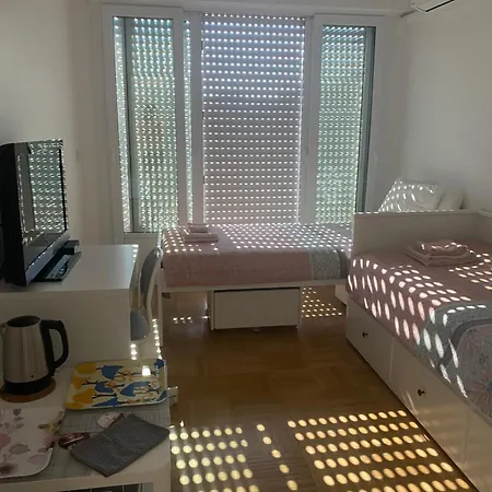 Mirela's Private With Key, Ac, Lift & Balcony In The Center Of On The Cote D'azur Homestay Nice