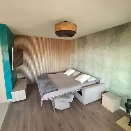 Studio Elegant Avec Acces A La Piscine Apartment Nice