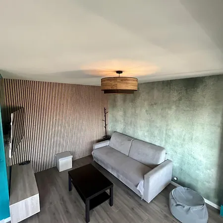 élégant Avec Accès à La Piscine