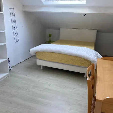 Avec Acces Terrasse Et Piscine * Nice