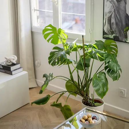 Stunning In The Heart Of Old Town Apartment *
