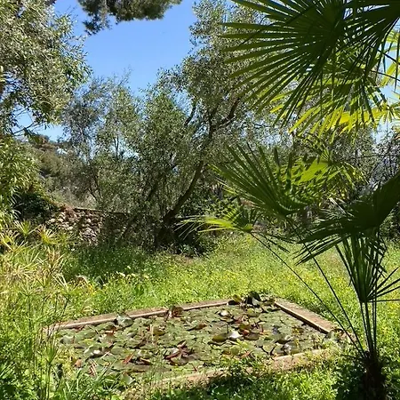 Hébergement de vacances Maison De Charme Dans Les Collines Niçoises Nice