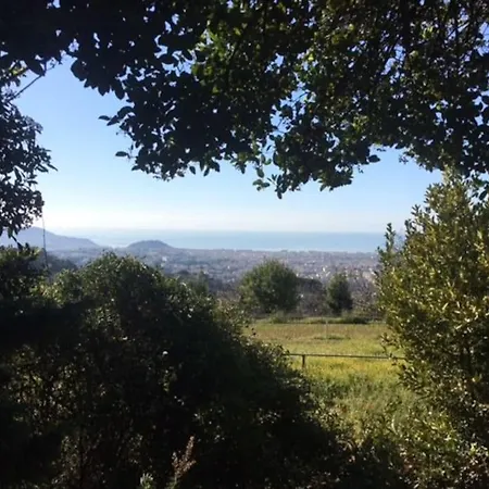 Maison De Charme Dans Les Collines Niçoises Hébergement de vacances
