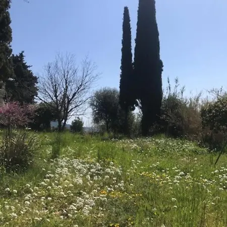 Maison De Charme Dans Les Collines Niçoises Hébergement de vacances