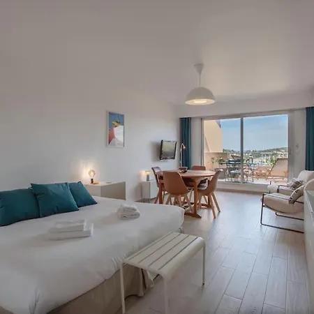 L20 Staywiz Us -stunning Sea View, Terrace, Parking, Ac, Wifi * Nice