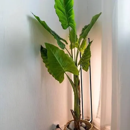 Heart Of Old Nice,2 Bedrooms, 5min From The Sea,ac Apartment *