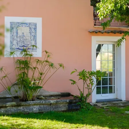 Le Petit Mas Nicois * Nice