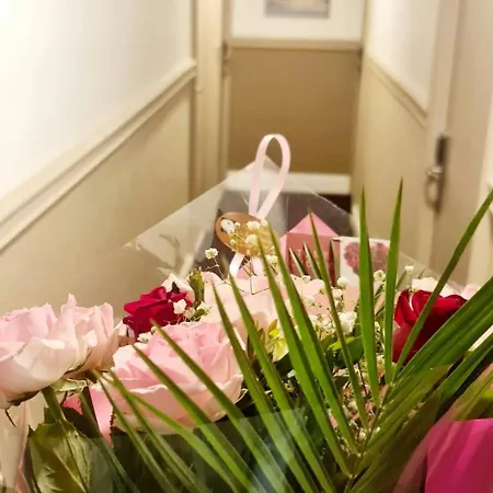 Evelia Hotel