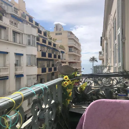 In Centre & 50m To -- Located In A Beautiful With Seaview Balcony Homestay
