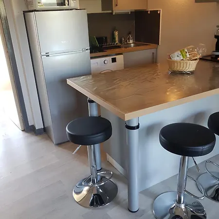 Appartement Les Palmiers à 700m De La Nice