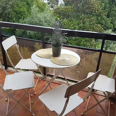 Appartement Les Palmiers à 700m De La Nice