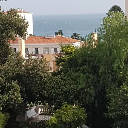 Les Palmiers A 700m De La Apartment *
