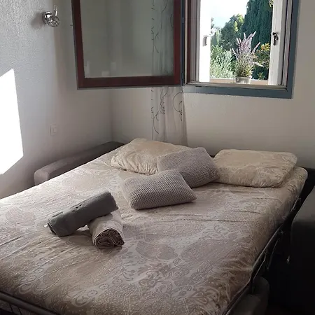 Les Palmiers A 700m De La Apartment