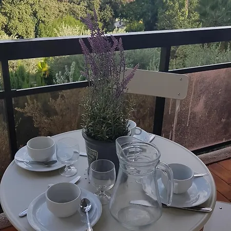 Apartment Les Palmiers A 700m De La