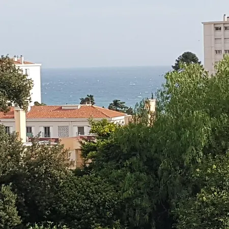 Les Palmiers à 700m De La
