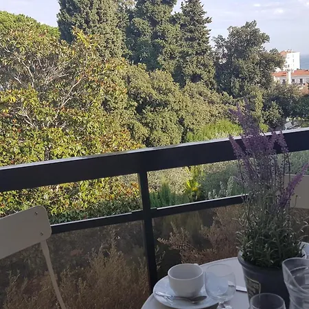 Les Palmiers A 700m De La Apartment *