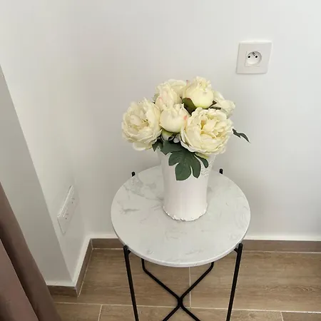 Appartement De Rêve Au Soleil Parfaite Pour Un à 4 Nice