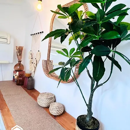 Little Nest - Old Town - Ac - Wifi Apartment Nice