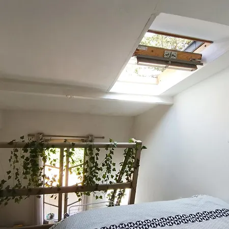 Bright In The Beautiful Of Apartment