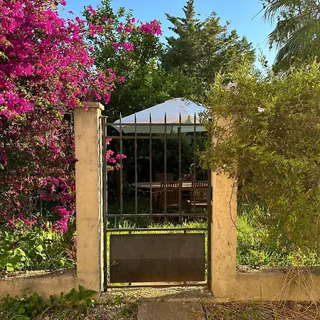 Appartement Dans à Ouest *