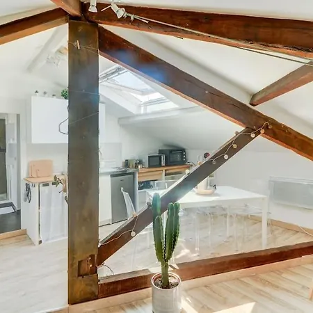 Joli Loft Mansardé Appartement