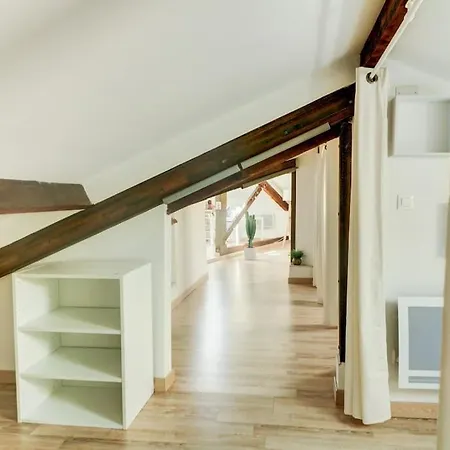 Joli Loft Mansardé *