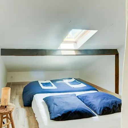 Joli Loft Mansardé