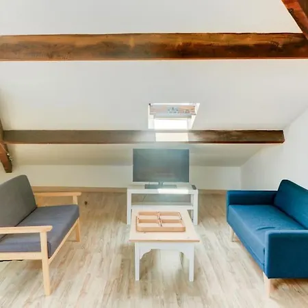 Joli Loft Mansardé *