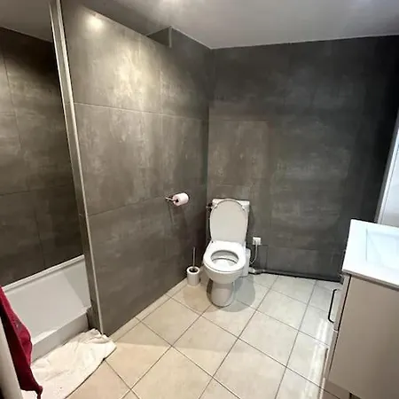 Avec Mezzanine Appartement