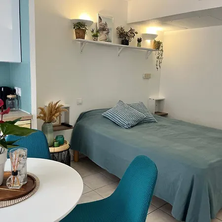 Appartement Studio Nice *