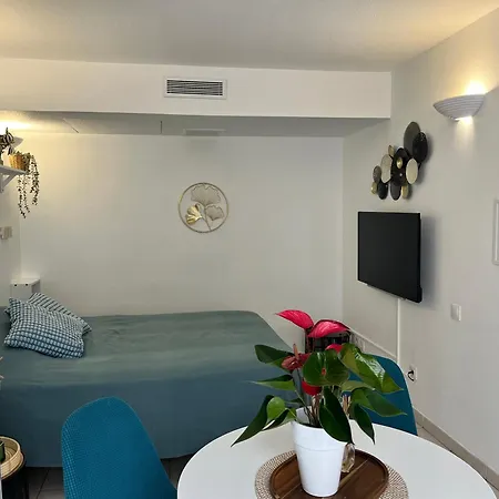 Studio Nice Appartement