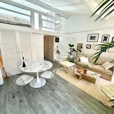 Superbe Duplex Entre Le Vieux Et La Prom Apartment Nice