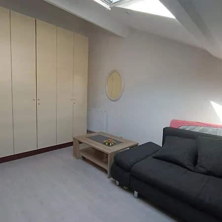 Apartment Charming T5 With Garden And Terrace *