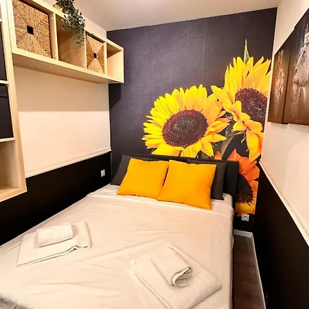 Appart hôtel Coeur Delille Fshh 3*