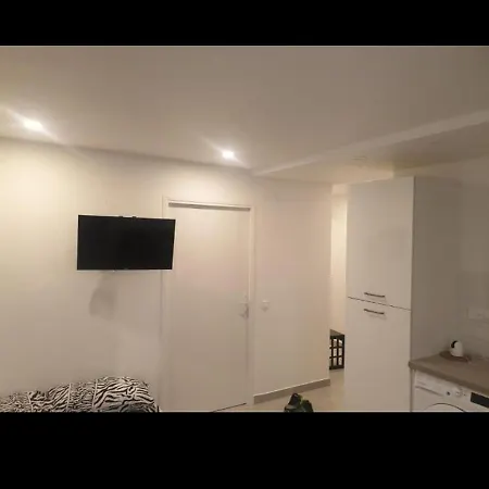 Grand Appartement, 2 Ou 3 Ou 4 Pieces, Tramway Sur Place, Proche Gare Sncf St Augustin 900 Metre , Aeroport 1200 Metre, Ou Allianz Riviera 10 Min, Palais Nikaia 2 Min , Supermarche Sur Place, Parking Possible Si Disponible Ou Payant A 1000 Metr *