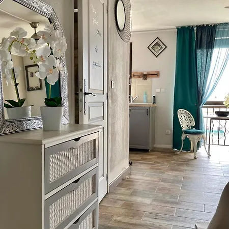 Appartement Luxurious In 450 M Of The Sea Nice