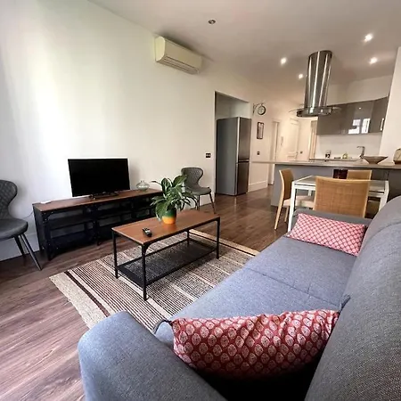 T3 Clim Hypercentre Appartement Nice