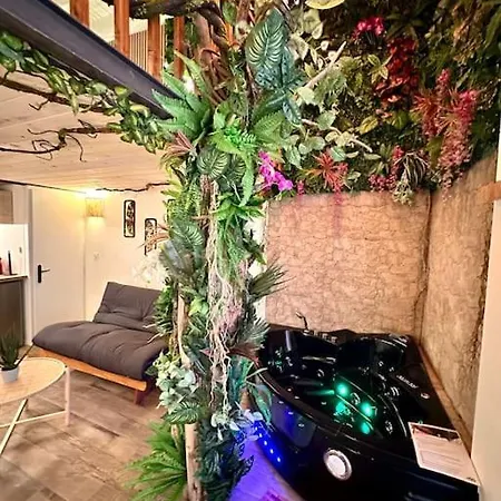 Jungle Avec Jaccuzi * Nice