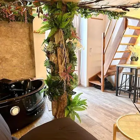Jungle Avec Jaccuzi * Nice