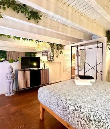 Jungle Avec Jaccuzi Apartment