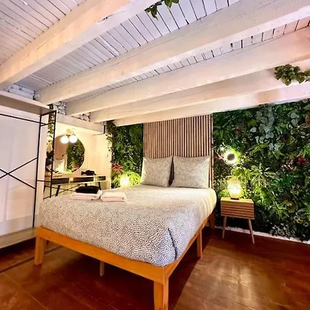 Apartment Jungle Avec Jaccuzi *