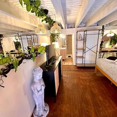 Jungle Avec Jaccuzi Apartment