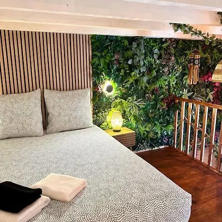 Jungle Avec Jaccuzi Au Coeur De Apartment Nice